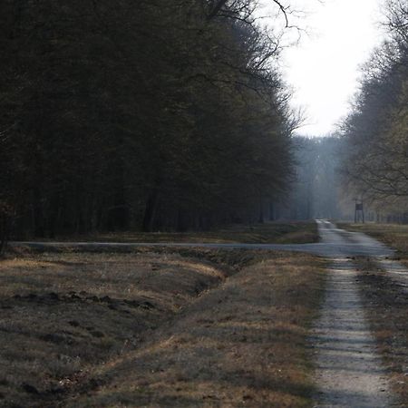 Sobe Pilajevo 2, 183 Ulica Stjepana Radica, Gola Leilighet Eksteriør bilde